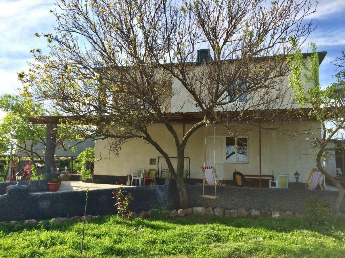 Mamuka'S Guesthouse Udabno Екстериор снимка